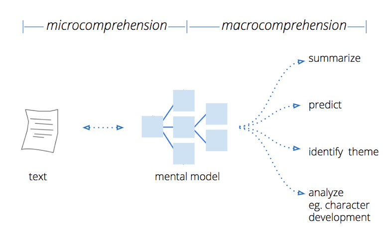 Microcomprehension